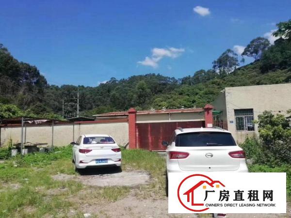  塘厦田心新出钢构独院1400平，滴水6米，微偏可噪音粉尘污染