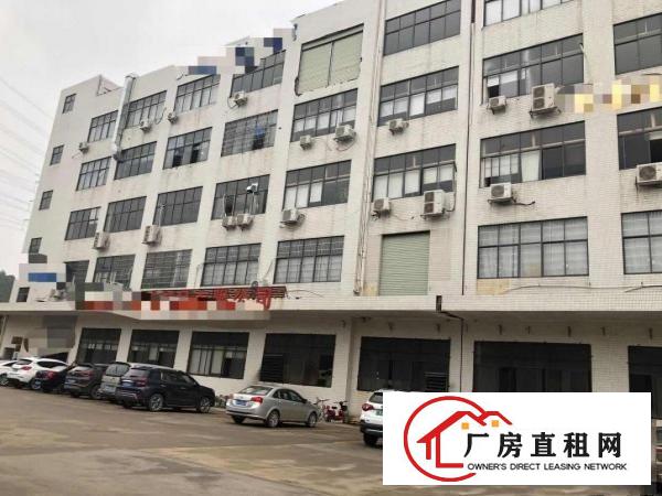  清湖头自建厂房1100平方带现成装修报价15元
