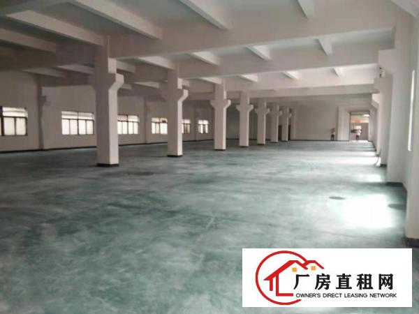  尾盘甩租！标准1楼620平方！不计成本！价格你说了算