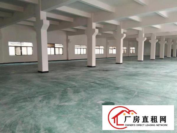  尾盘甩租！标准1楼620平方！不计成本！价格你说了算