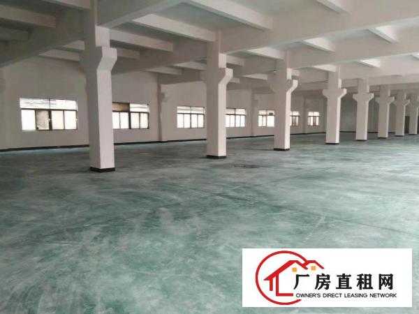  尾盘甩租！标准1楼620平方！不计成本！价格你说了算