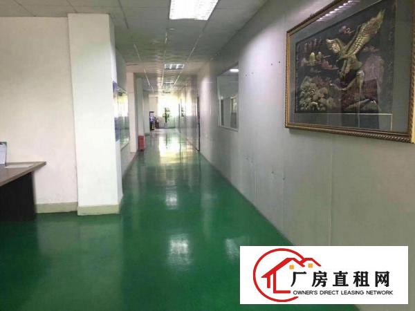  石鼓新出楼上现成无尘车间1700平无公滩可直接进场