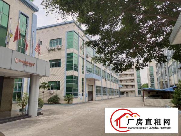  塘厦石潭布原房东直租标准2楼880平方！大气前台精装修