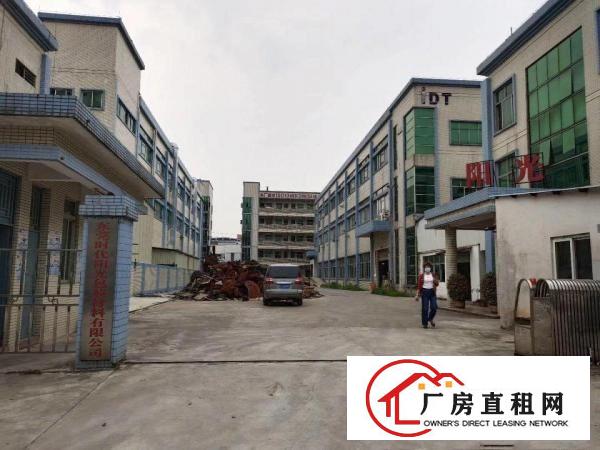  塘厦石潭布原房东直租标准2楼880平方！大气前台精装修
