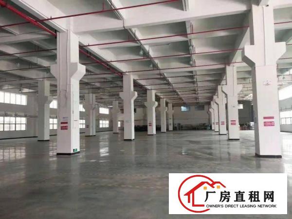  塘厦龙背岭原房东直租标准1楼1700平方！可分租现成水电装修