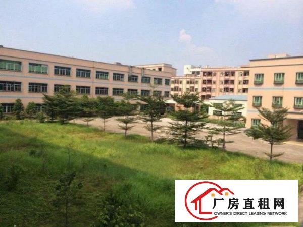  塘厦龙背岭原房东直租标准1楼1700平方！可分租现成水电装修