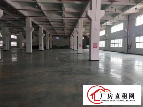  塘厦龙背岭原房东直租标准1楼1700平方！可分租现成水电装修