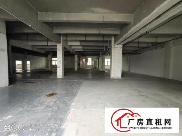  塘厦科苑城标准一楼1200平方主线到车间现成豪华办公室低价租