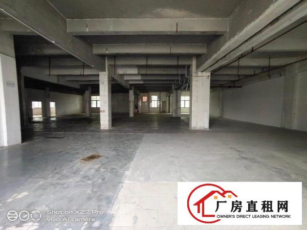  塘厦科苑城标准一楼1200平方主线到车间现成豪华办公室低价租