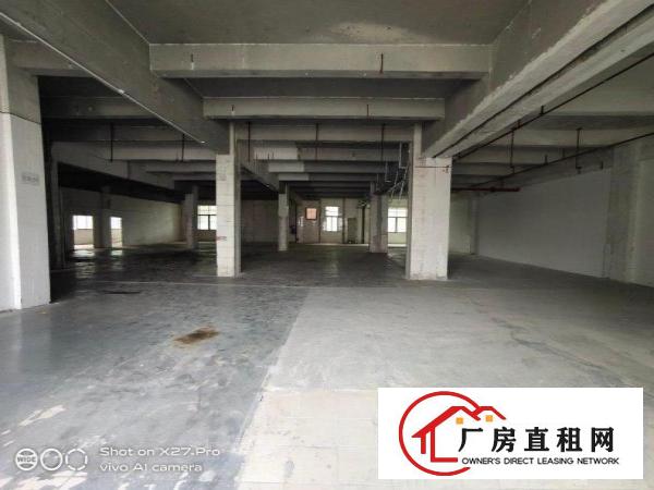  塘厦科苑城标准一楼1200平方主线到车间现成豪华办公室低价租