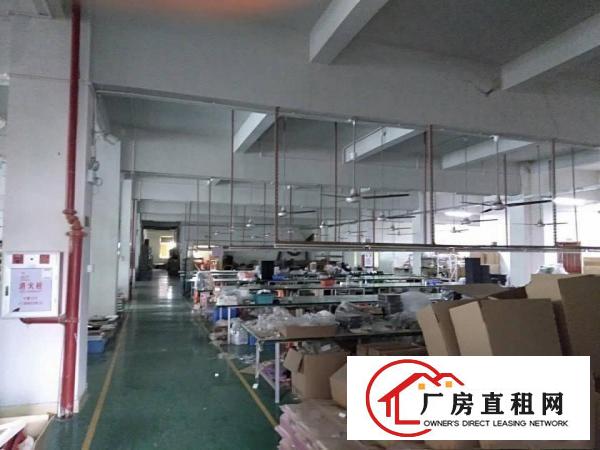 塘厦沙湖新出小独院厂房3600平方，豪华装修，主线到位
