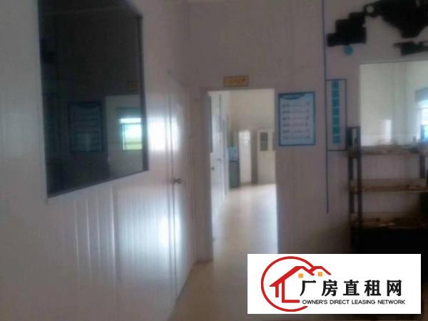  塘厦沙湖新出小独院厂房3600平方，豪华装修，主线到位