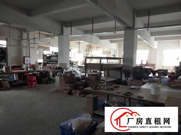  塘厦沙湖新出小独院厂房3600平方，豪华装修，主线到位