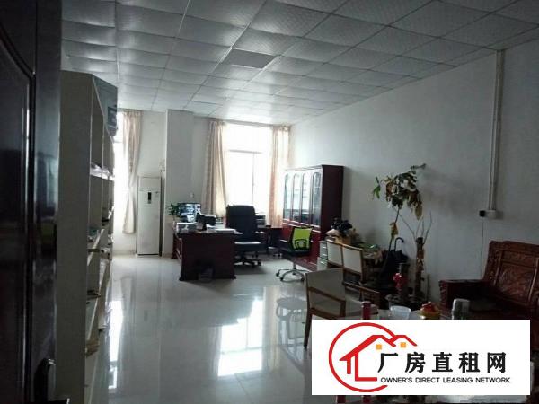  塘厦沙湖新出小独院厂房3600平方，豪华装修，主线到位