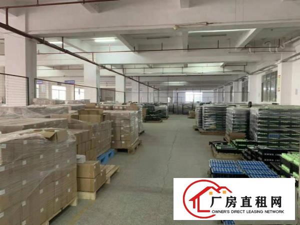  塘厦迎宾大道原房东独院厂房15000方无公摊交通便利