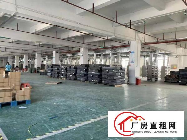  塘厦迎宾大道原房东独院厂房15000方无公摊交通便利