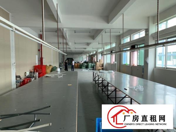  塘厦莲湖刚空出二楼600平现成装修主线拎包生产价格美丽