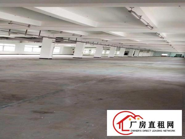  塘厦桥陇楼上特价厂房2600平方米