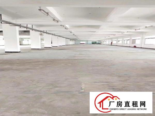  塘厦桥陇楼上特价厂房2600平方米
