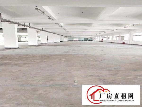  塘厦桥陇楼上特价厂房2600平方米