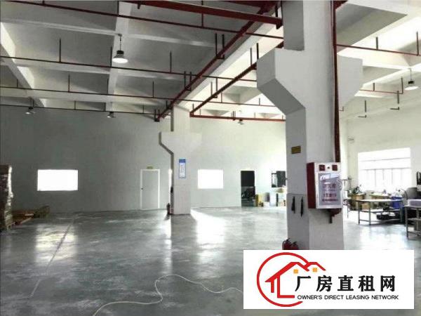  塘厦科苑城工业园标准1楼1100平！高6米！带牛角可架行车