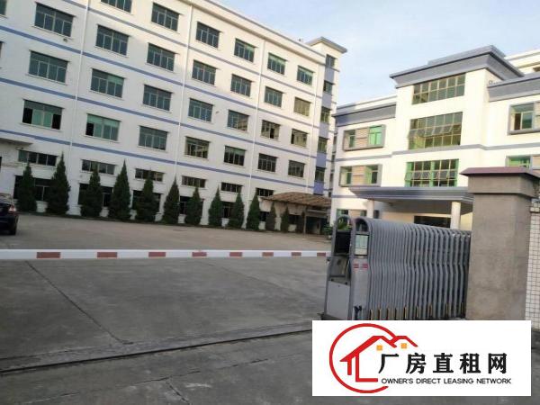 塘厦科苑城工业园标准1楼1100平！高6米！带牛角可架行车