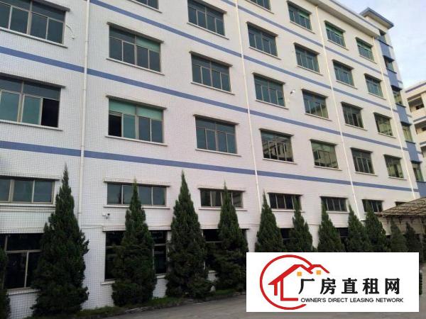  塘厦科苑城工业园标准1楼1100平！高6米！带牛角可架行车