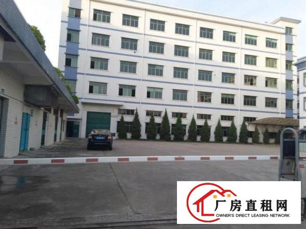  塘厦科苑城工业园标准1楼1100平！高6米！带牛角可架行车