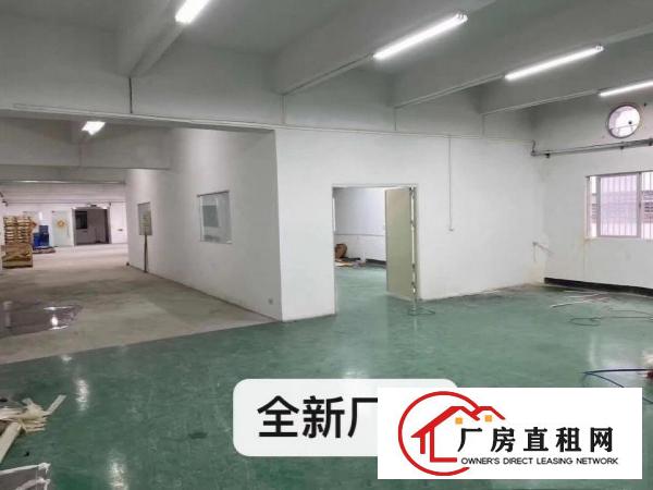  128工业区800平米标准厂房三楼新出原房东精装修带家私茶台