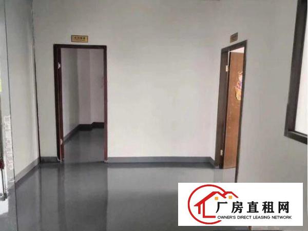  龙背岭独院二楼500平带精装修办公室厂房出租，有电梯格局方正