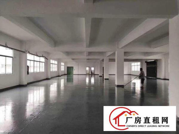  龙背岭独院二楼500平带精装修办公室厂房出租，有电梯格局方正