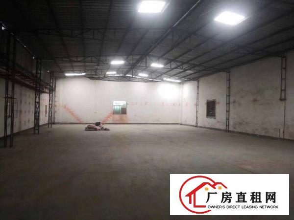  塘厦龙背岭单一层独院厂房出租