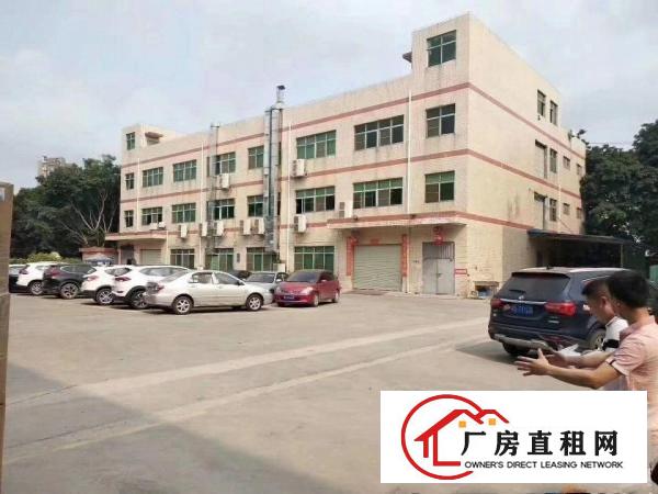  塘厦镇林村新出无尘车间出租！一层面积1300平方