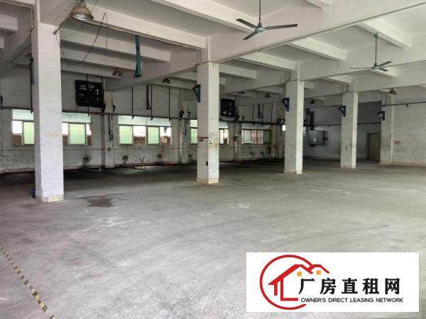  塘厦工业园独栋三层厂房面积3250平米带现成水电