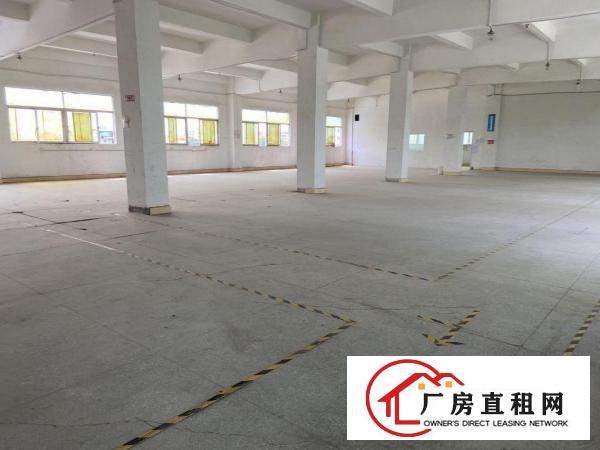  塘厦工业园独栋三层厂房面积3250平米带现成水电