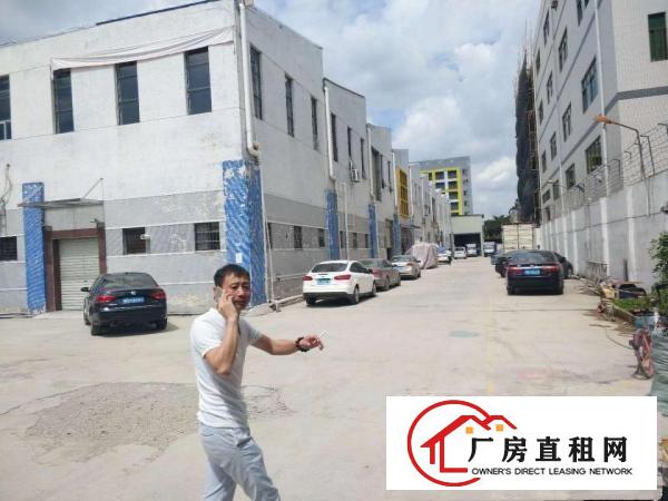  主干道旁！清湖头标准1楼650平厂房出租，空地超大，出入方便