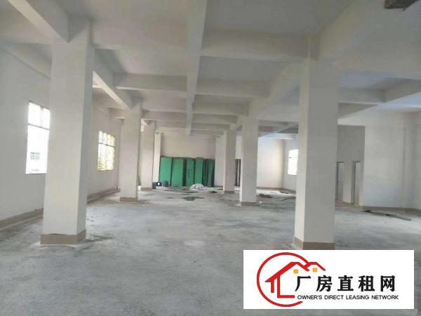  主干道旁！清湖头标准1楼650平厂房出租，空地超大，出入方便