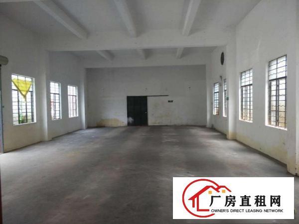  主干道旁！清湖头标准1楼650平厂房出租，空地超大，出入方便