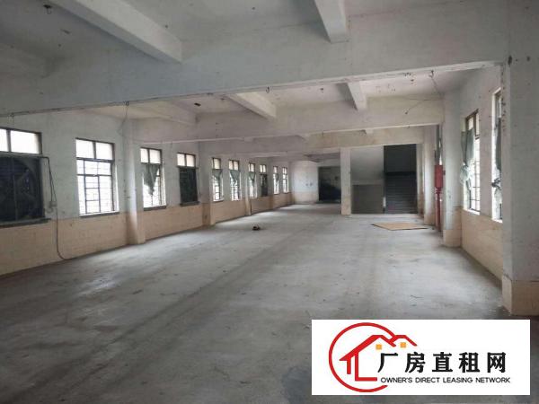  主干道旁！清湖头标准1楼650平厂房出租，空地超大，出入方便