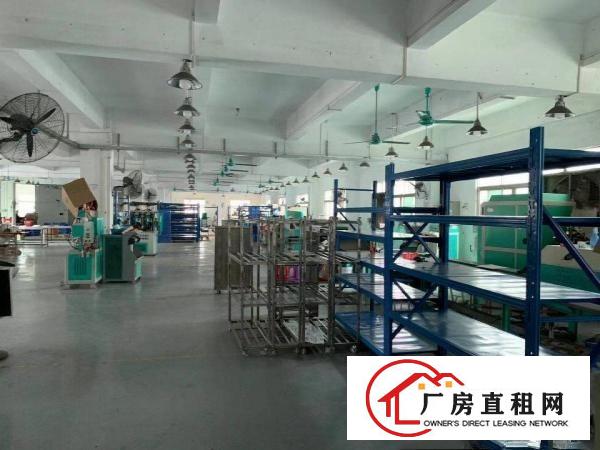  塘厦镇新出原房东楼上一整层带精装修地坪漆办公室厂房出租