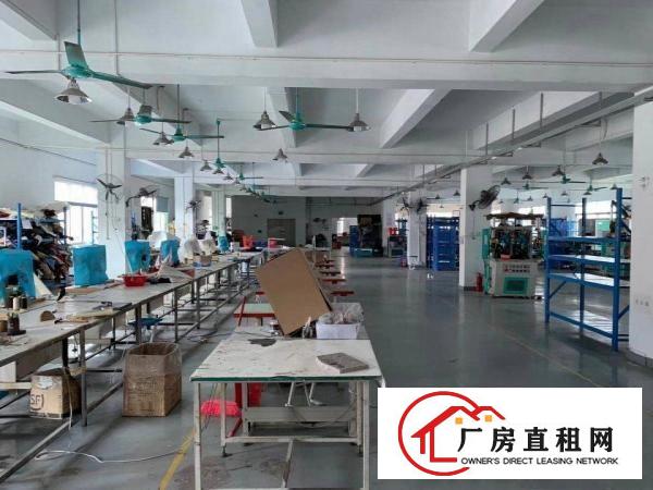  塘厦镇新出原房东楼上一整层带精装修地坪漆办公室厂房出租