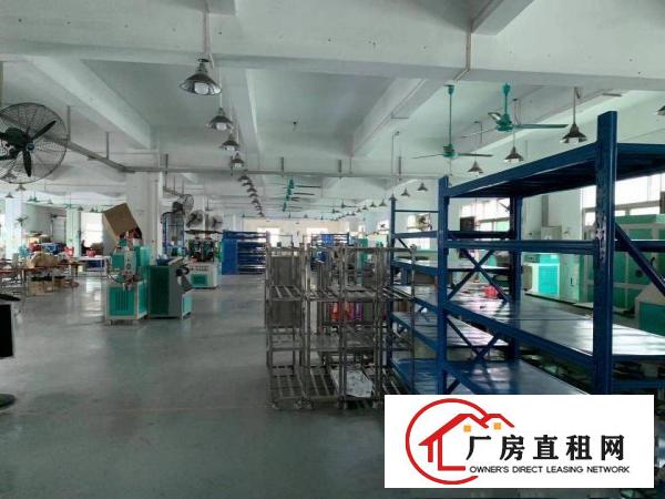  塘厦镇新出原房东楼上一整层带精装修地坪漆办公室厂房出租
