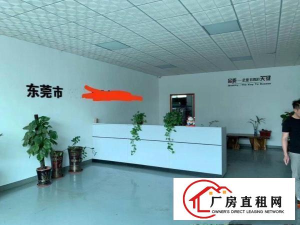  塘厦镇新出原房东楼上一整层带精装修地坪漆办公室厂房出租