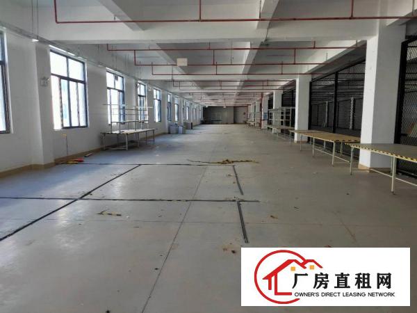  科苑城花园式标准一楼3200平7米高，带消防喷淋