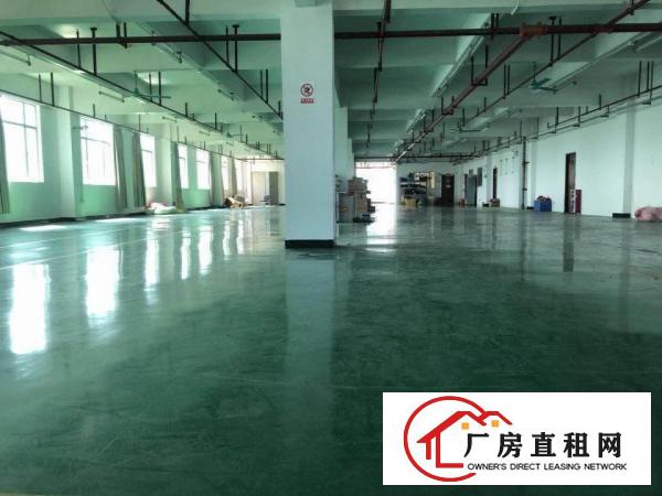  塘厦科苑城工业区标准2楼2100平方！九成新地段旺！易招工