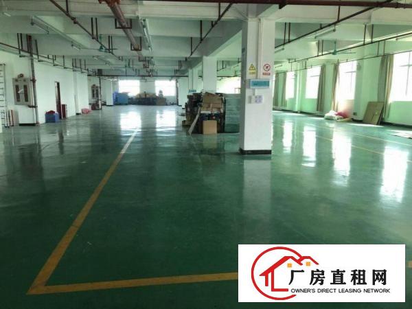  塘厦科苑城工业区标准2楼2100平方！九成新地段旺！易招工