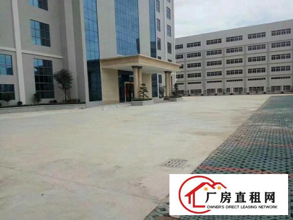  塘厦科苑城工业区标准2楼2100平方！九成新地段旺！易招工