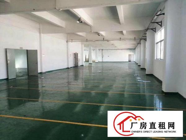  塘厦靠凤岗新出原房东精美独院6000平没有公摊