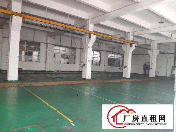  塘厦靠凤岗新出原房东精美独院6000平没有公摊