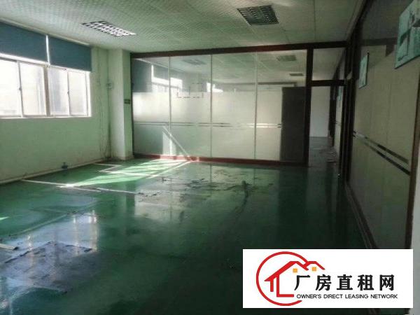  塘厦靠凤岗新出原房东精美独院6000平没有公摊